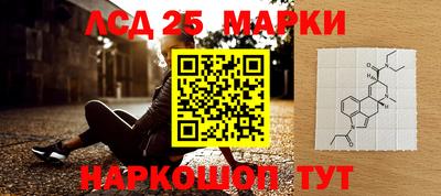 спайс Гагарин