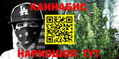 спайс Гагарин